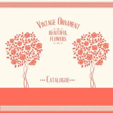 Rose bush. Stock Illustration