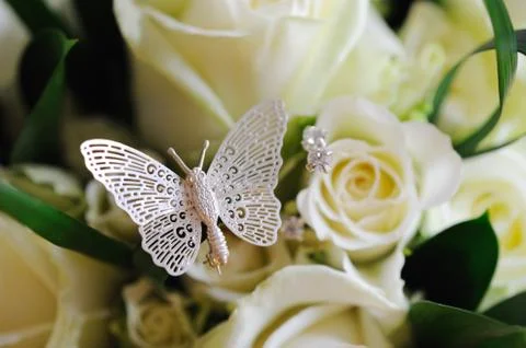 Rose &amp; butterfly Stock Photos