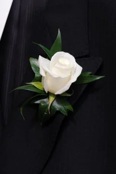 Rose buttonhole Stock Photos