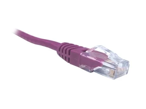Rose CAT5e CAT6 Ethernet Patch Lead Foto stock