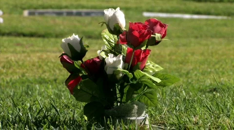 Rose on the cemetery Video stock 875057
