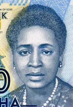 Rose Chibambo Stock Illustration