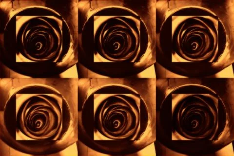 Rose Chocolate Stock Illustration