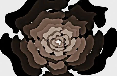 Rose close up Illustrazione stock