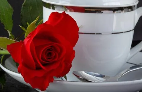 Rose on a coffee cup Stock Photos