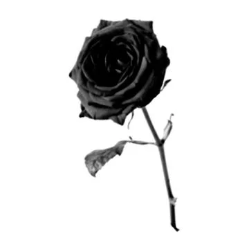 Rose collage. Design element in trendy dotted pop art style. Retro halftone.. 스톡 일러스트