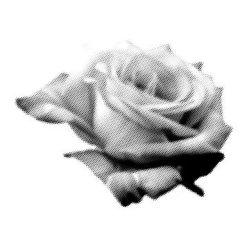 Rose collage. Design element in trendy dotted pop art style. Retro halftone e Stockillustratie