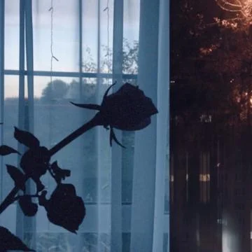 Rose Collage Foto stock