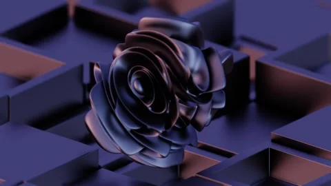 A rose in a cube pattern Stock Footage 309926354