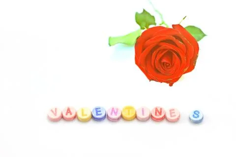 Rose with dice on white background Stock Photos