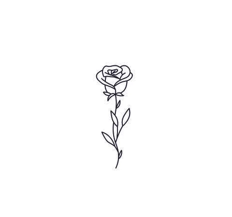 Rose drawing Stock Illustration