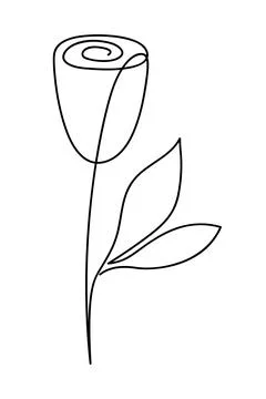 Rose drawing in single continuous line art style. Stock Illustration