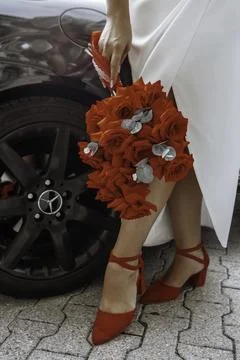 Rose Elegance Foto stock