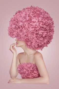 Rose Elegance Stock Photos