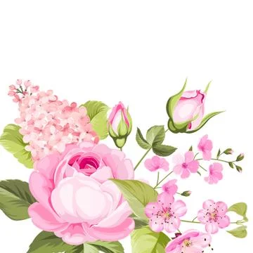 The rose elegant card. Stock Illustration