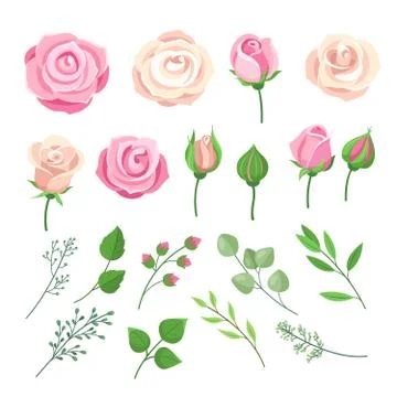 Rose elements. Pink and white roses flowers with green leaves and buds Stock Illustration