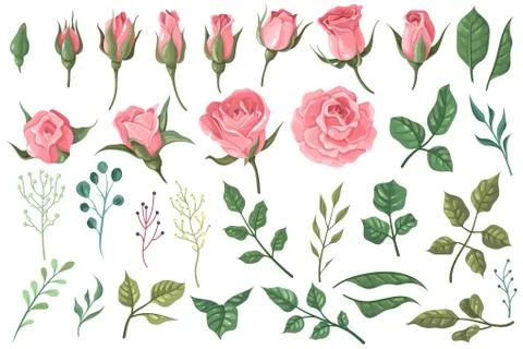 Rose elements. Pink flower buds, roses with green leaves bouquets, floral Stock Illustration