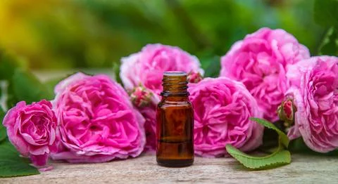 Rose essential oil in a bottle. Selective focus. Stock Photos