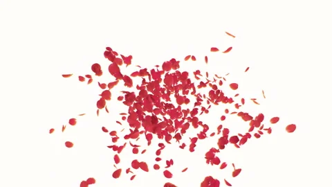 Rose Explosion on pastels Stock Footage 285812470