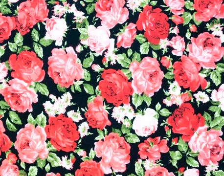 Rose fabric background Stock Photos