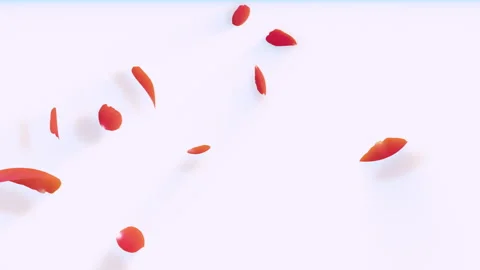 Rose fallt on White Background Stock Footage 246353588