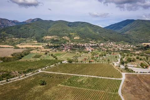 Rose fields in Bulgaria Foto stock