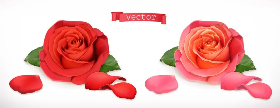 Rose flower. 3d realistic vector icon Иллюстрация