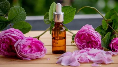 Rose flower and essential oil. spa and aromatherapy Stock Photos