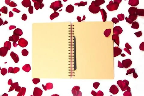 Rose flower and petals on empty page notebook isolated on white. Top view. Copy Stock Photos