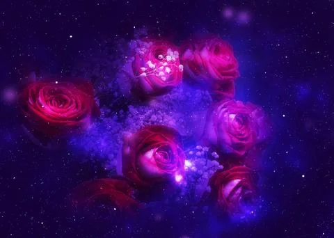 Rose flower and starry space Stockillustratie
