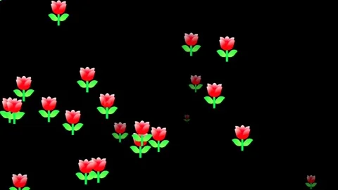 Rose flower animation Stock-Footage 263688856