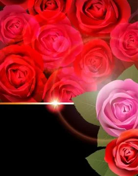 Rose Flower Background. Stock Illustration