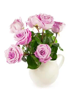 Rose flower with clipping path, side view. Beautiful roses on stem with leave Stock Photos