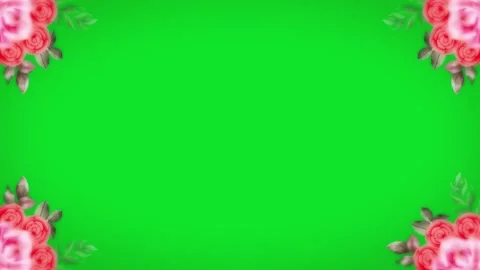 Rose Flower Frame Stock Videos – Royalty-Free HD & 4K Videos