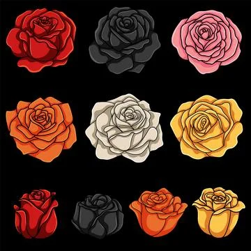 Rose flower element vector illustration Illustrazione stock