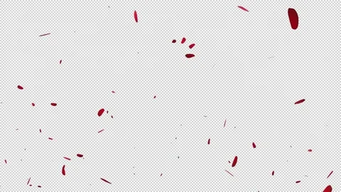 Rose flower float animation Video stock 146008738