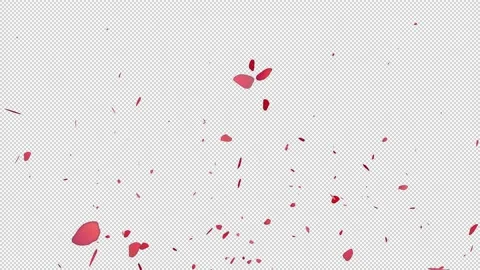 Rose flower float animation Video stock 146008761