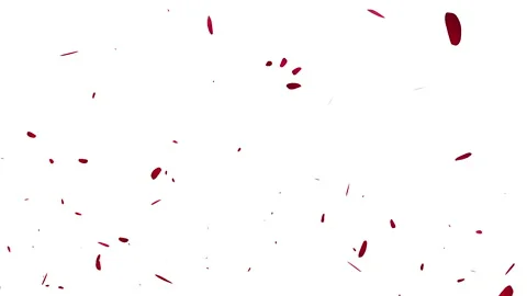 Rose flower float animation Video stock 146009333