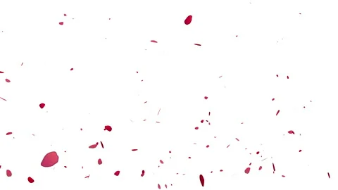 Rose flower float animation Video stock 146009418