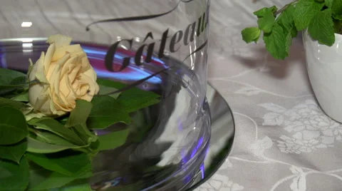 Rose Flower Stock Footage 54201614