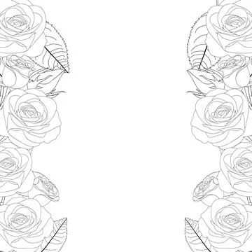 Rose Flower Frame Outline Border. Vector Illustration. Stock Illustration