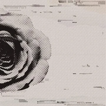 Rose flower halftone screen with risograph printing texture and printing in.. Stock Illustration