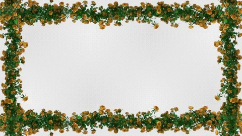 Rose flower Horizontal seamless repeat border with alpha channel transparen.. Stock Footage 262212033