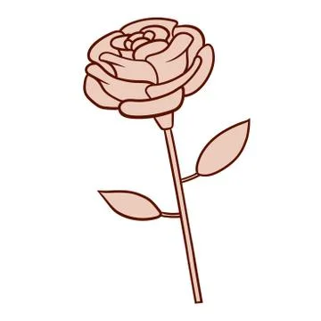 A rose flower Stock-Illustration