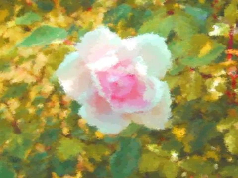 Rose flower Stock Illustration