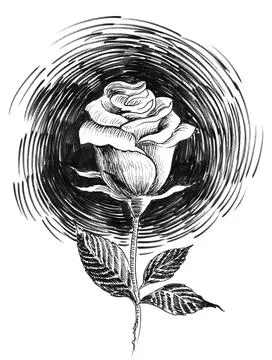Rose flower Illustrazione stock