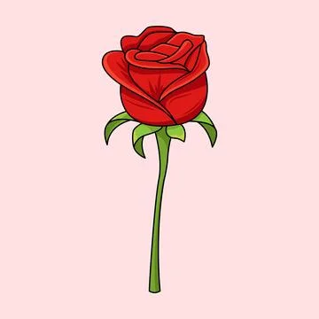 Rose Flower Stock Illustration