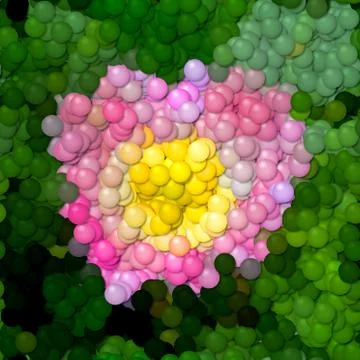 Rose flower image balls generated hires texture Stock Illustration