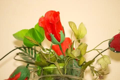 Rose flower image Stockfoto's
