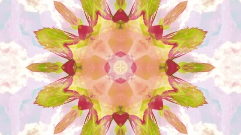 Rose flower kaleidoscopic modern pattern. Stock Footage 270481276